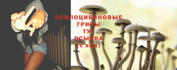 гидра Елабуга