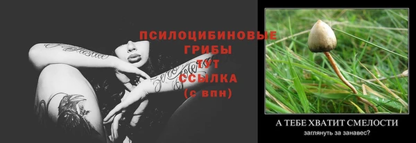 прущая мука Ельня