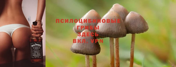MDMA Premium VHQ Бородино
