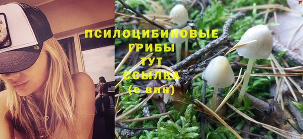 твердый Бронницы